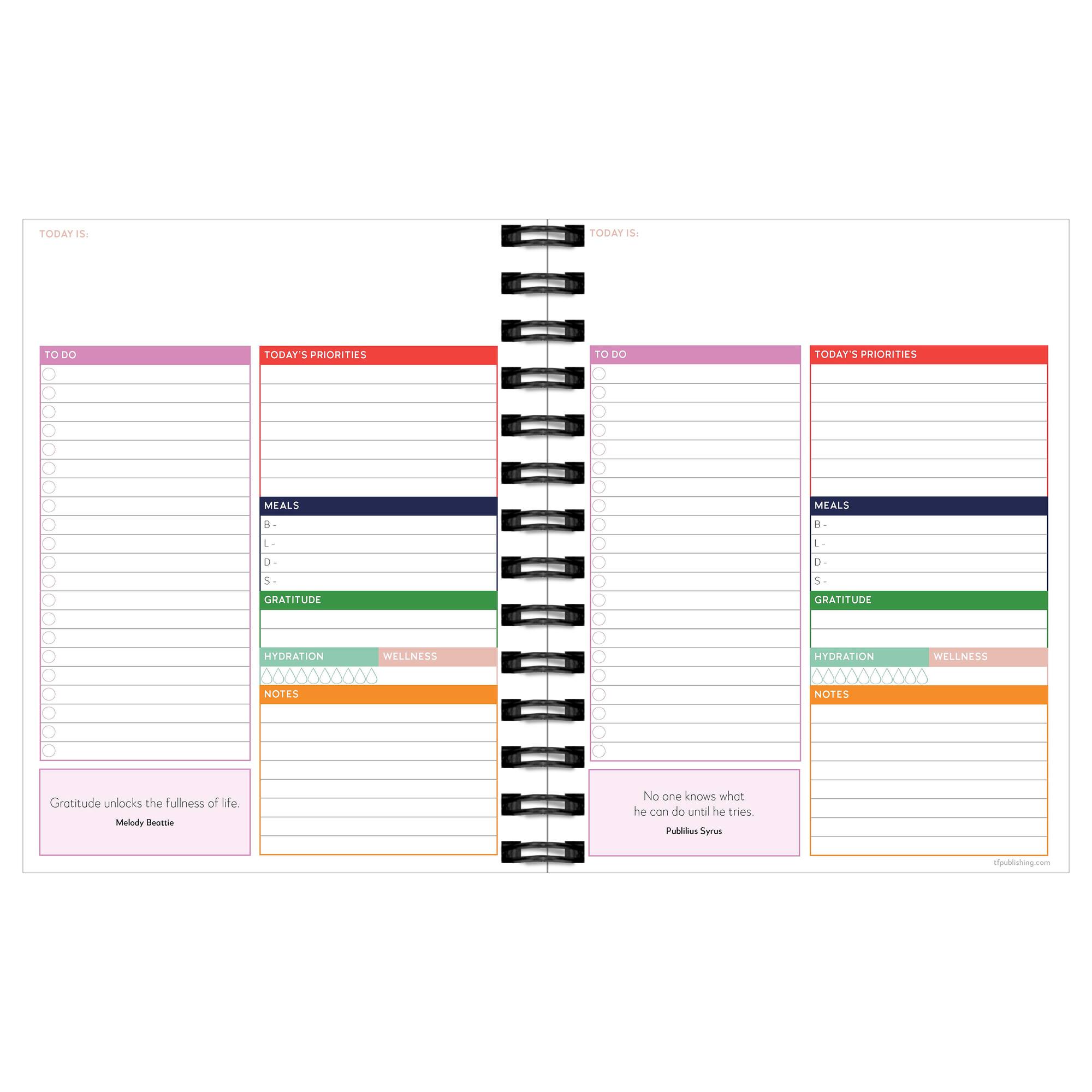 Striped Daily Monthly Luxe Planner